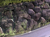 点群データ（石垣）